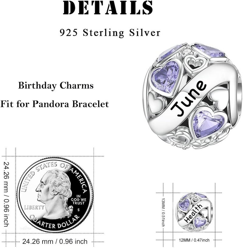DALARAN Birthstone Charms for Charms Bracelet 925 Sterling Silver Heart Bead Happy Birthday Charms for Women - Image 5